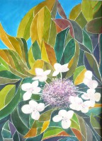 /album/galerie-08-10/moje-obrazy-vsechny-25-2-2009-14-24-03-2009-14-24-03-jpg1/